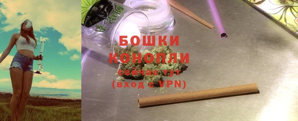 мдпв Богородицк