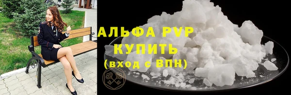 прущие грибы Анива