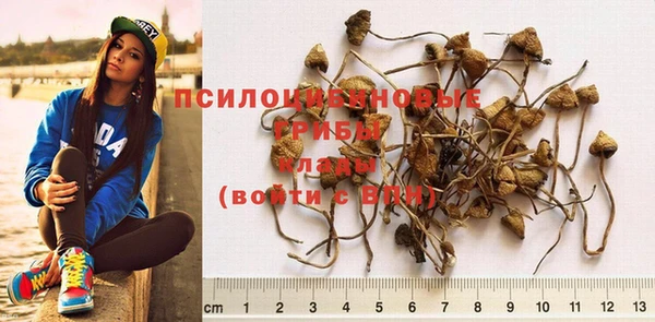 ALPHA-PVP Беломорск