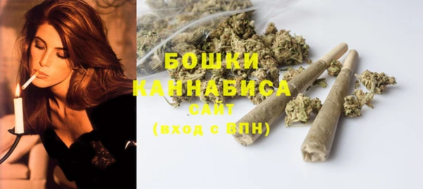 мдпв Богородицк